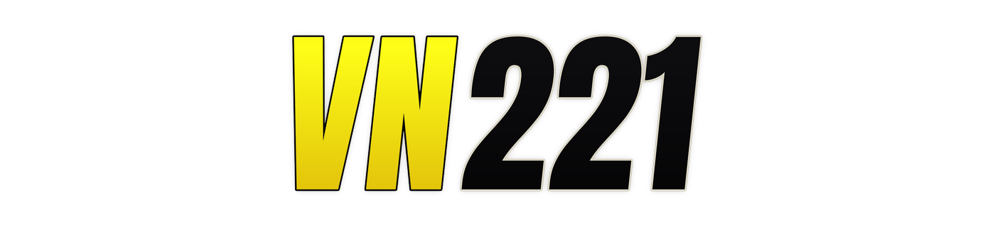 vn221 logo